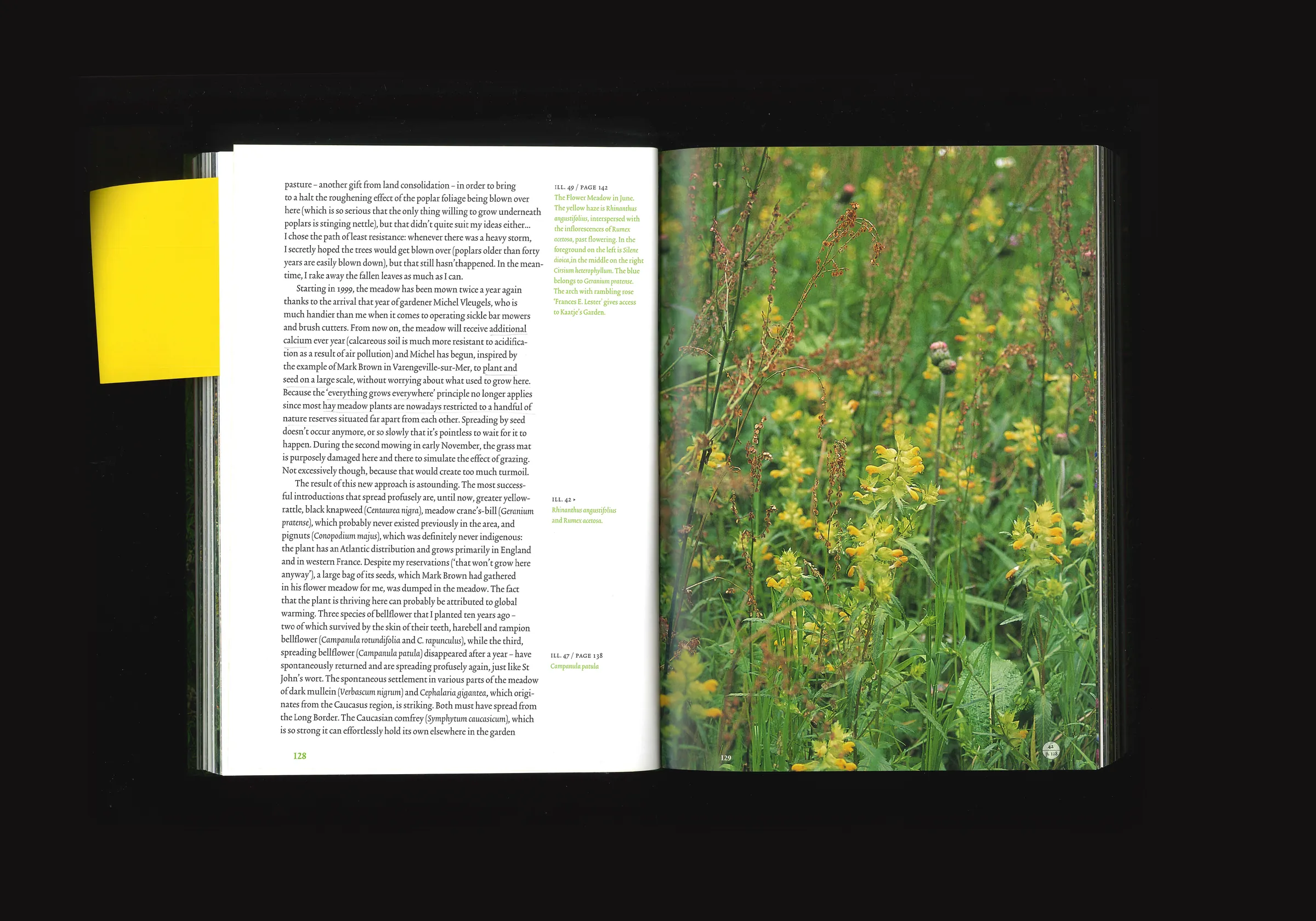 Essay on Gardening, image 4